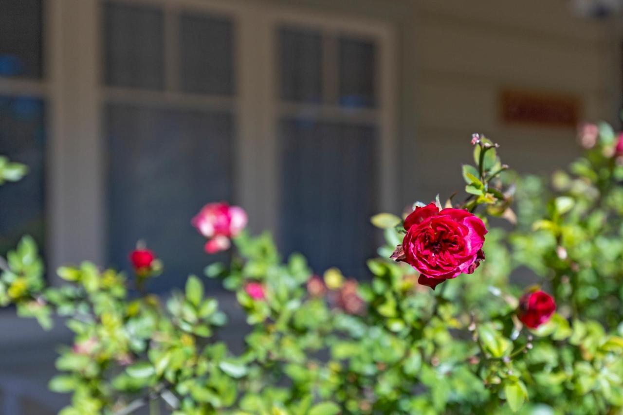 Keira Cottage Katoomba Zewnętrze zdjęcie